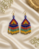 Rang Tarang Earrings